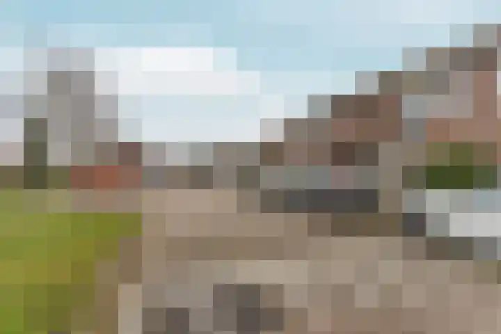Zalmplein 26 Almere thumbnail 6