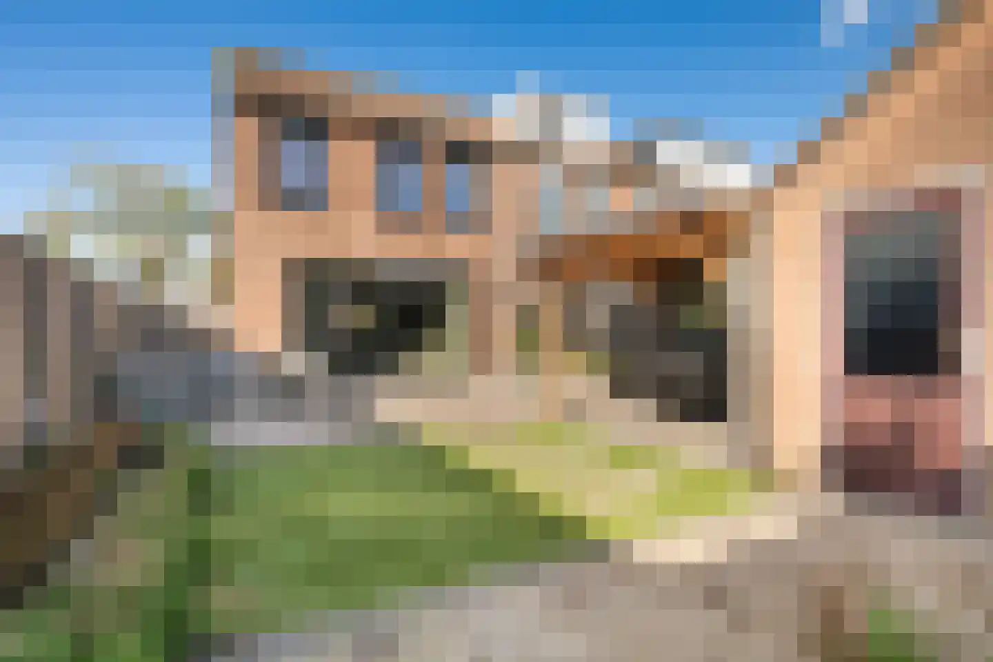 Zalmplein 27 Almere thumbnail 18