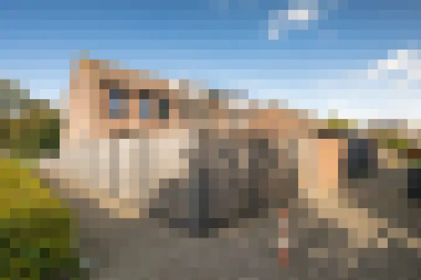 Zalmplein 27 Almere thumbnail 24