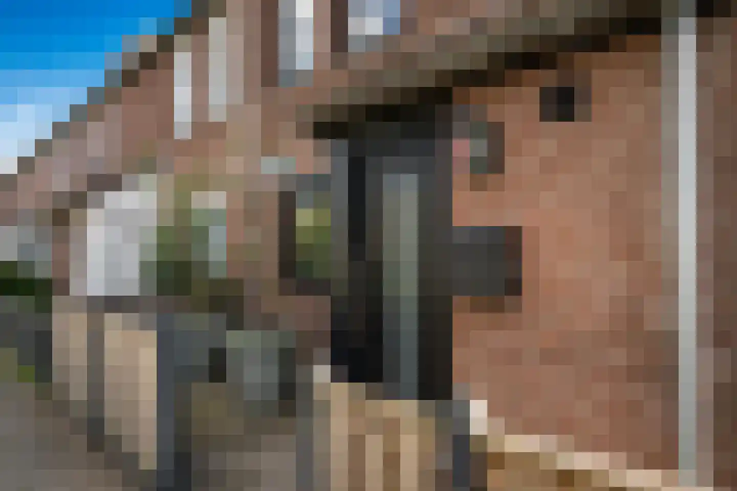 Zalmplein 27 Almere thumbnail 5
