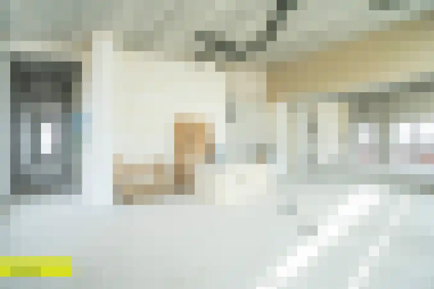 Zalmrokerij 58 Hardinxveld-Giessendam thumbnail 20
