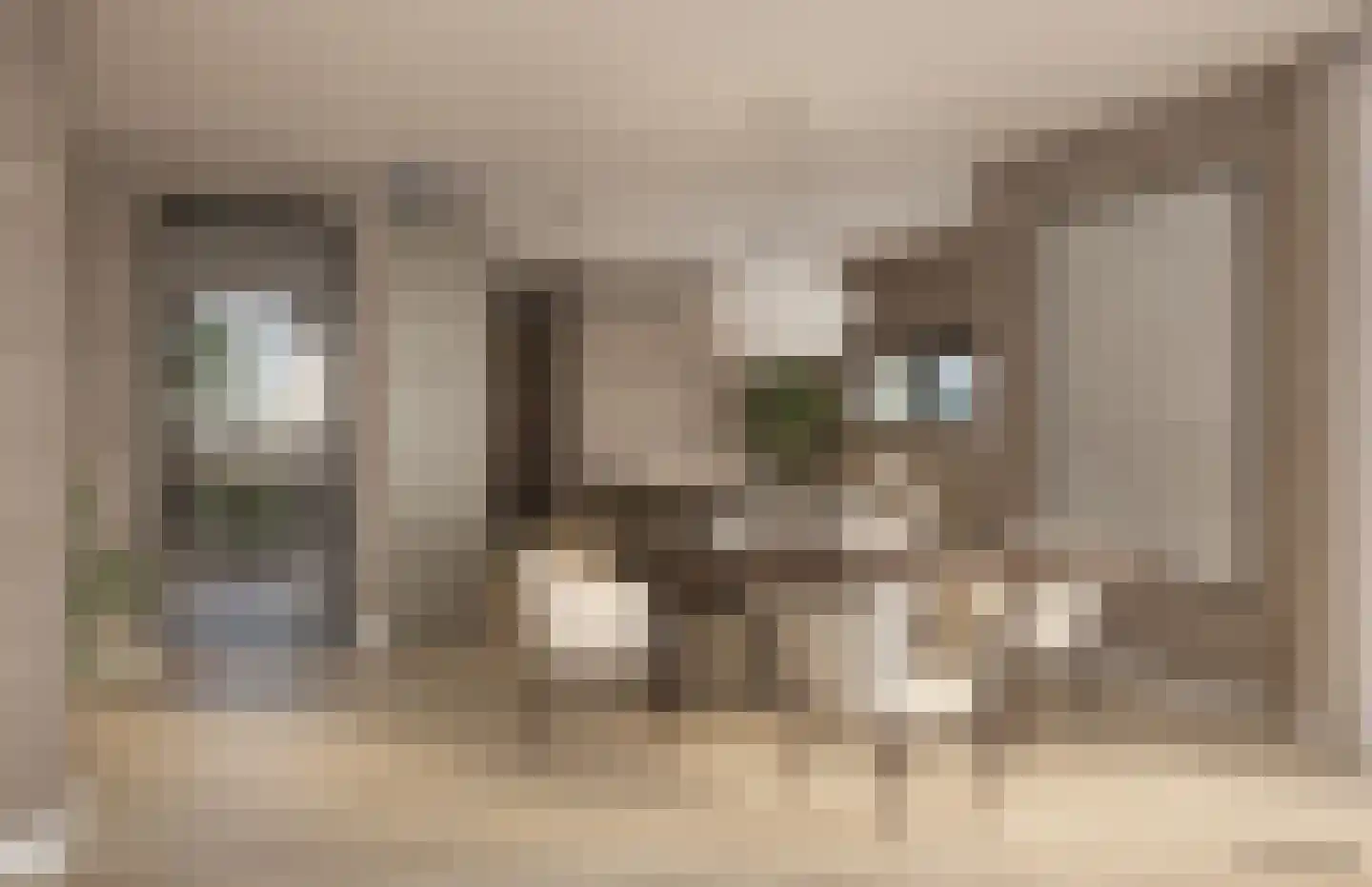 Zalmschouw 1 Meerstad thumbnail 5