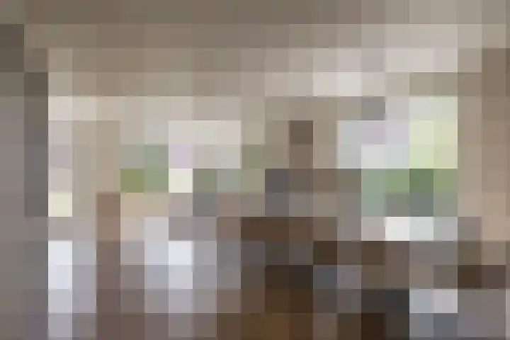 Zalmschouw 15 Meerstad thumbnail 12