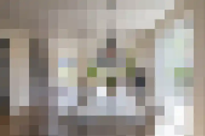 Zalmschouw 15 Meerstad thumbnail 14