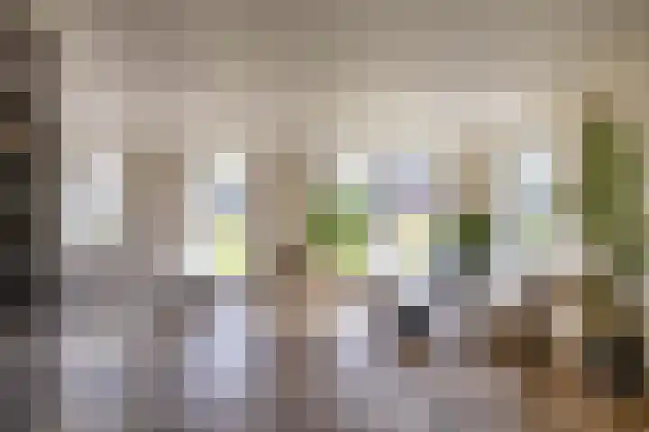 Zalmschouw 15 Meerstad thumbnail 15