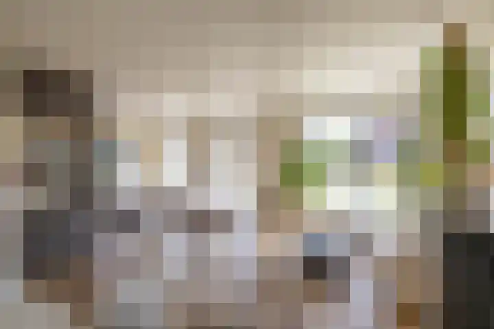 Zalmschouw 15 Meerstad thumbnail 16