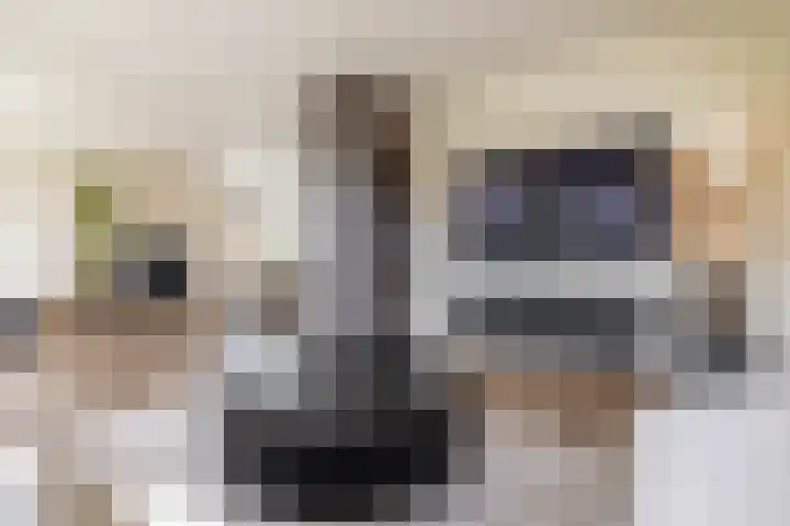 Zalmschouw 15 Meerstad thumbnail 18