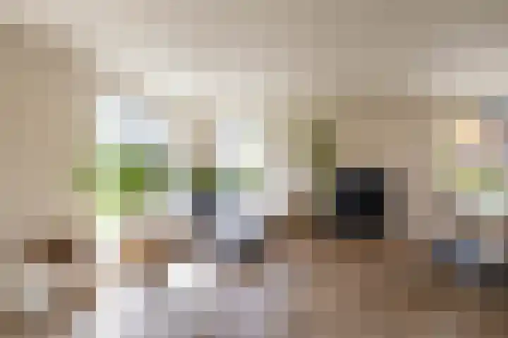 Zalmschouw 15 Meerstad thumbnail 19