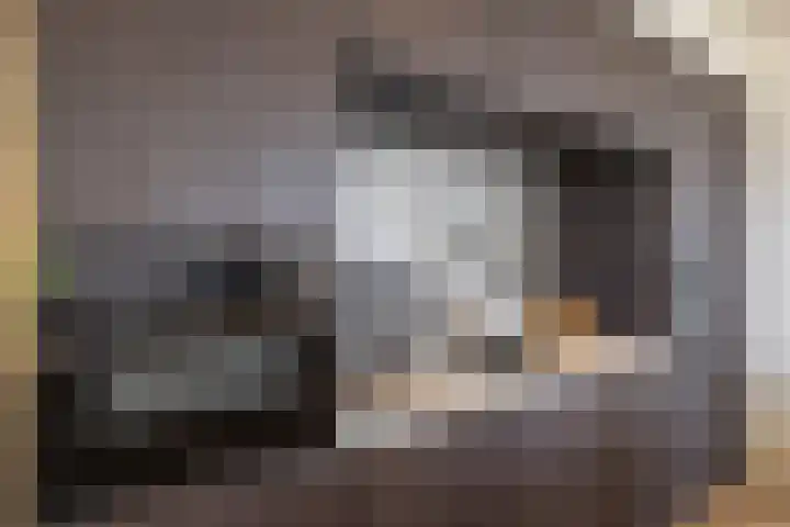 Zalmschouw 15 Meerstad thumbnail 22
