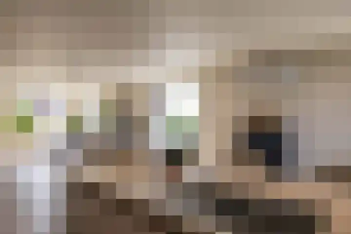 Zalmschouw 15 Meerstad thumbnail 23