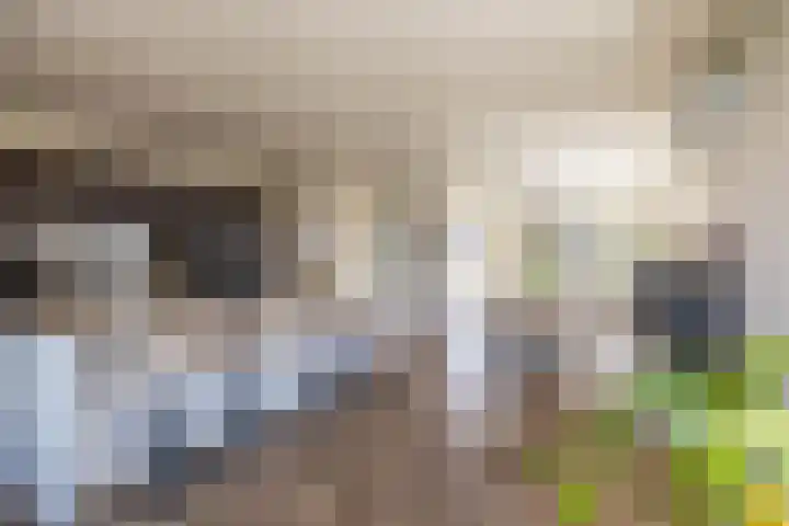 Zalmschouw 15 Meerstad thumbnail 25