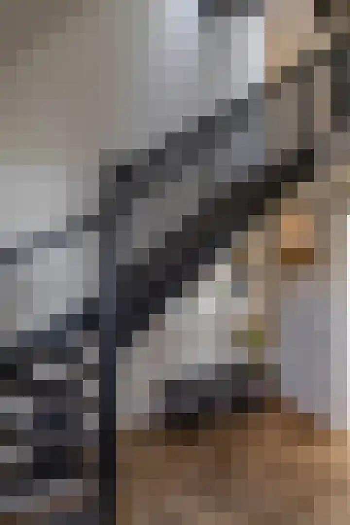 Zalmschouw 15 Meerstad thumbnail 27