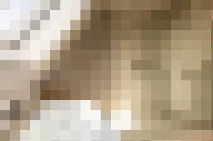 Zalmschouw 15 Meerstad thumbnail 35
