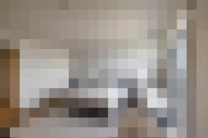 Zalmschouw 15 Meerstad thumbnail 36