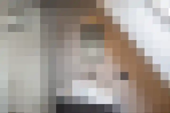 Zalmschouw 15 Meerstad thumbnail 39