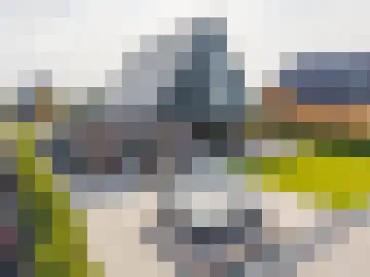 Zalmschouw 15 Meerstad thumbnail 47