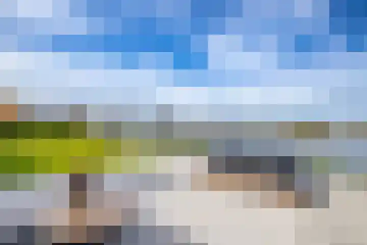 Zalmschouw 15 Meerstad thumbnail 48