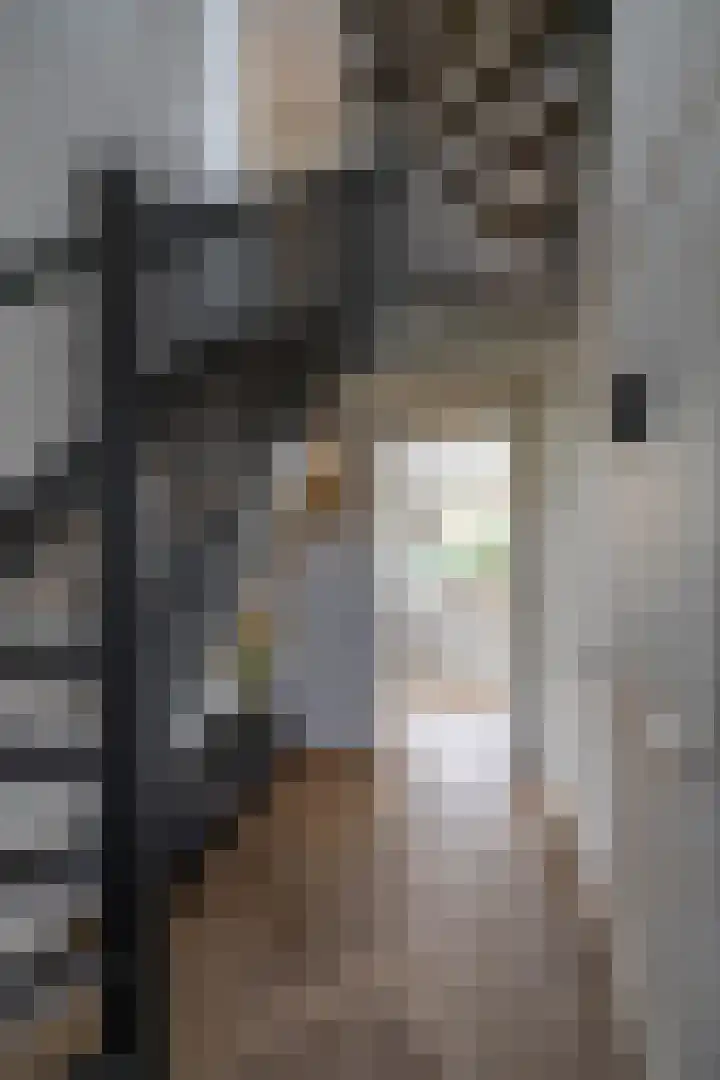 Zalmschouw 15 Meerstad thumbnail 9