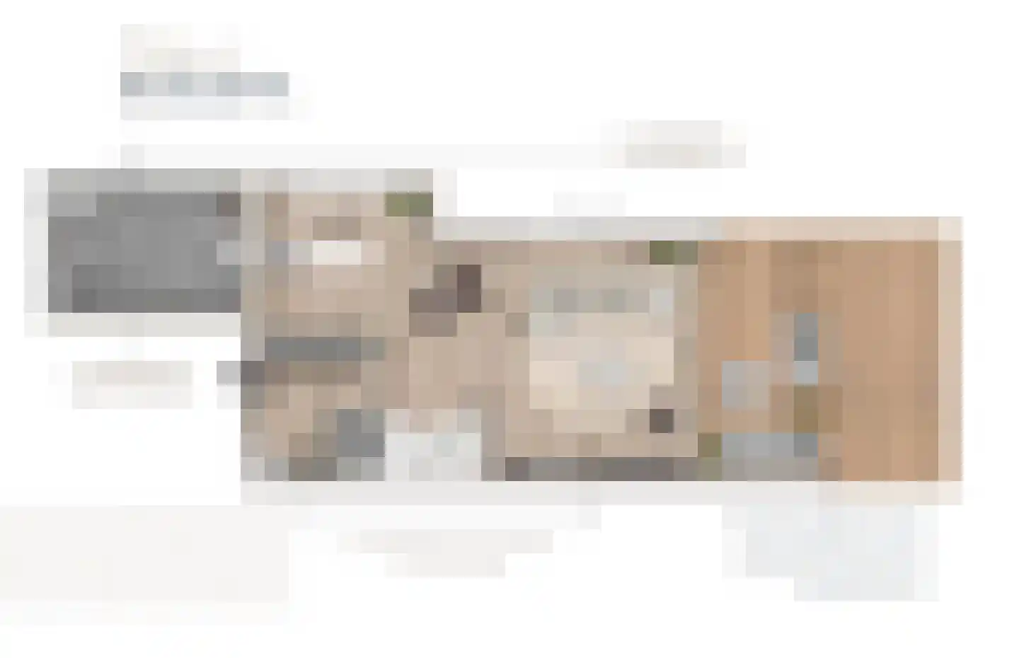 Zalmschouw 4 Meerstad thumbnail 7