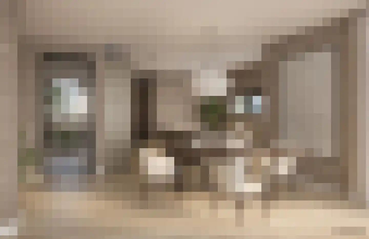 Zalmschouw 8 Meerstad thumbnail 5
