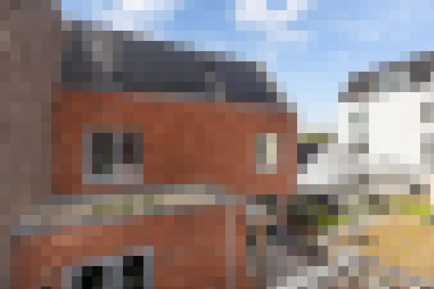 Zalmstael 1 Maassluis thumbnail 22