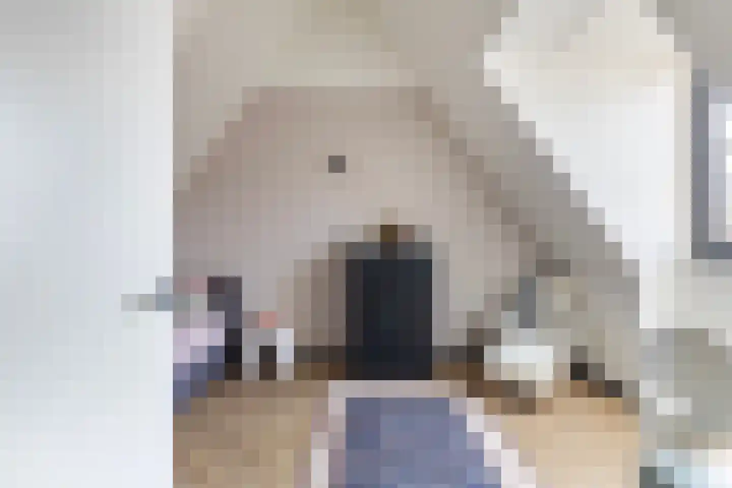 Zalmstael 1 Maassluis thumbnail 38