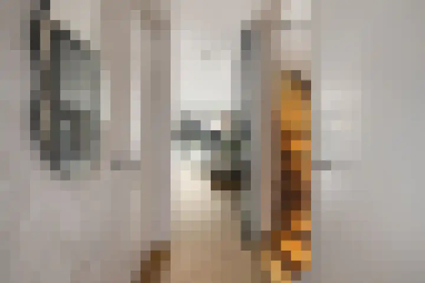 Zalmstael 19 Maassluis thumbnail 4