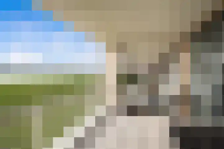 Zalmstael 8 Maassluis thumbnail 10