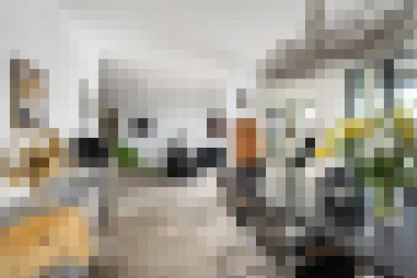 Zalmstael 8 Maassluis thumbnail 15