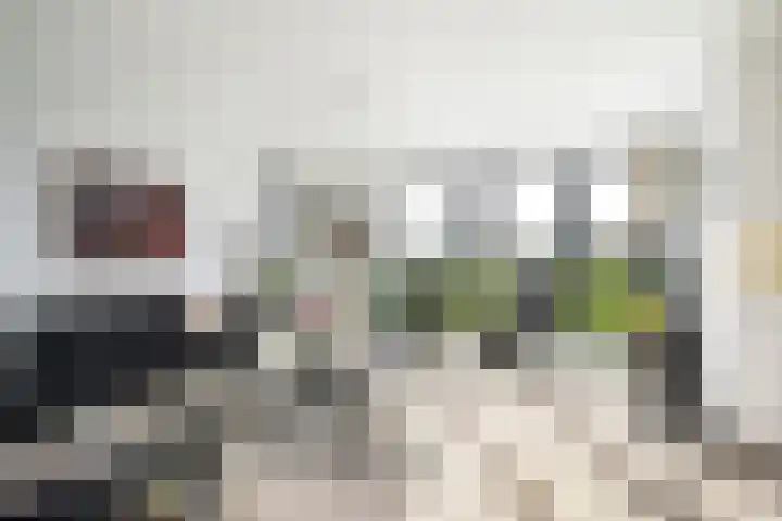 Zalmstael 8 Maassluis thumbnail 17