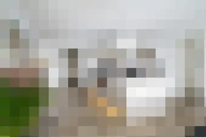 Zalmstael 8 Maassluis thumbnail 20