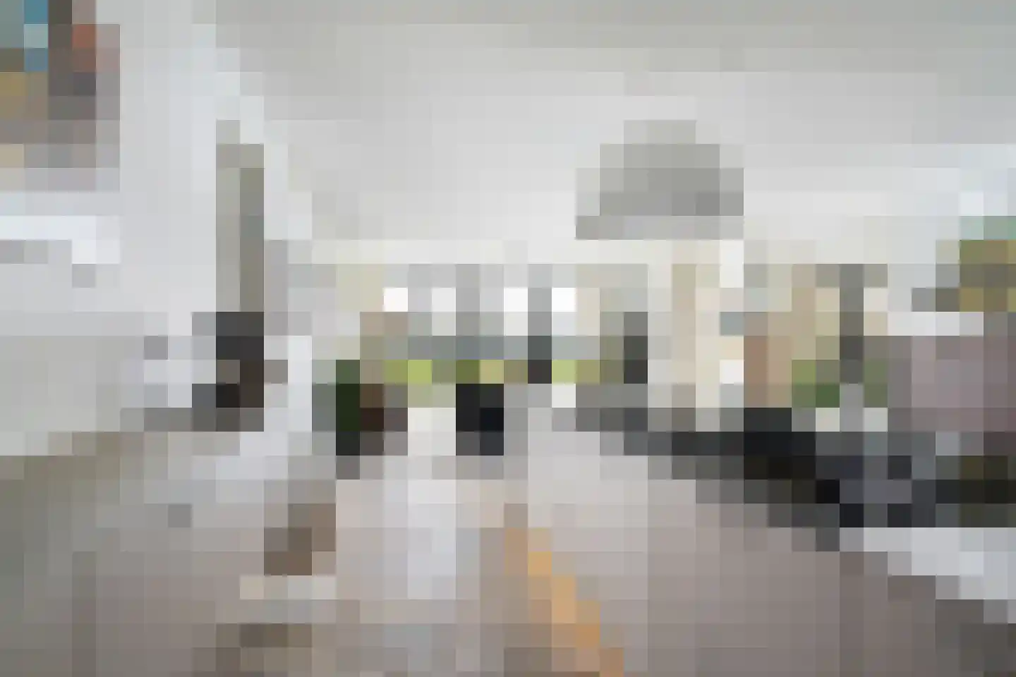 Zalmstael 8 Maassluis thumbnail 23