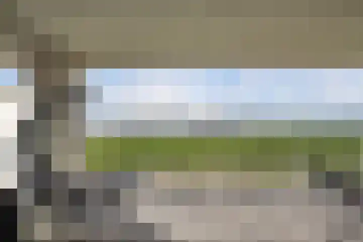 Zalmstael 8 Maassluis thumbnail 27