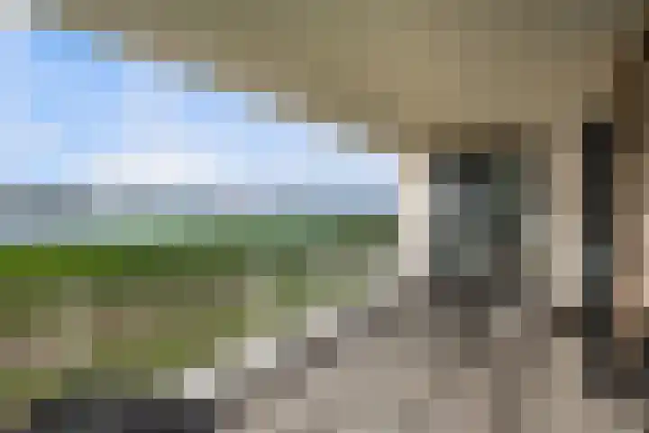 Zalmstael 8 Maassluis thumbnail 28