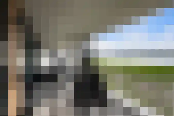 Zalmstael 8 Maassluis thumbnail 29