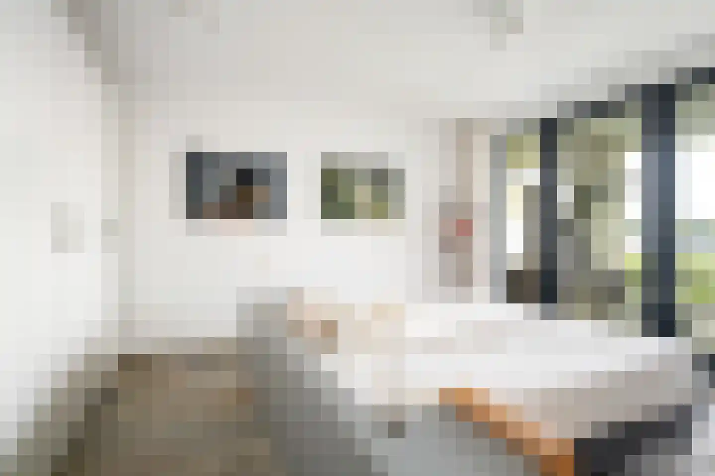 Zalmstael 8 Maassluis thumbnail 33