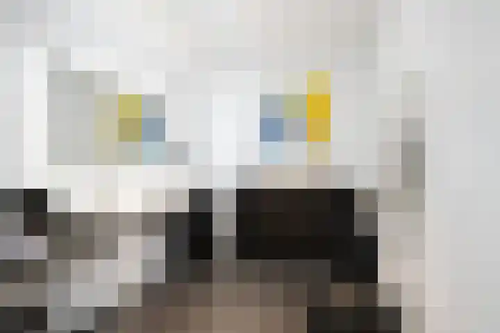 Zalmstael 8 Maassluis thumbnail 33