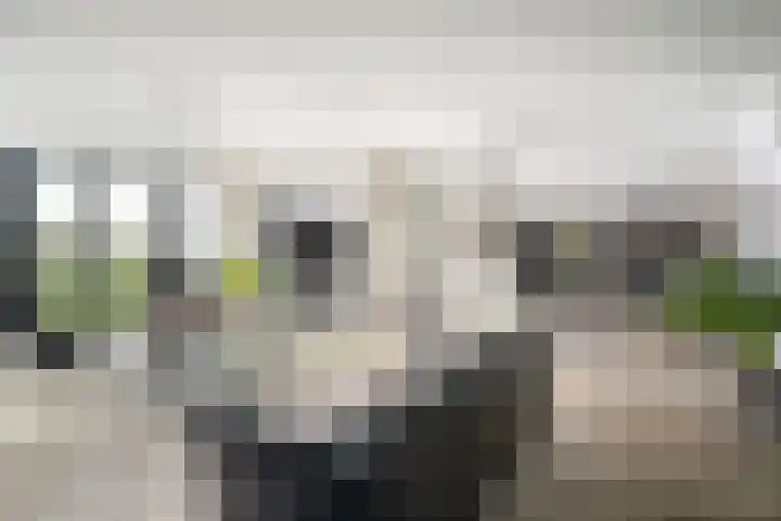 Zalmstael 8 Maassluis thumbnail 6