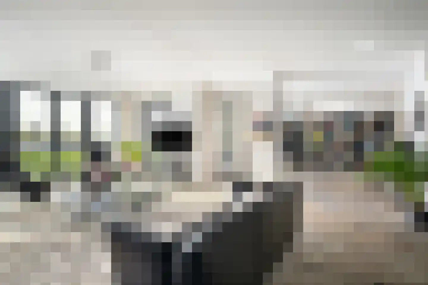 Zalmstael 8 Maassluis thumbnail 7