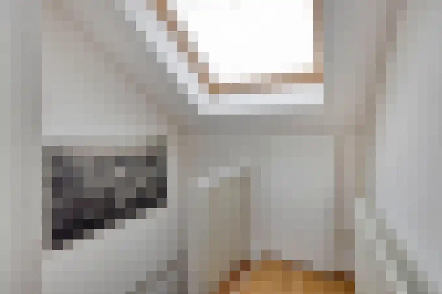 Zalmsteek 34 Hoogvliet Rotterdam thumbnail 28