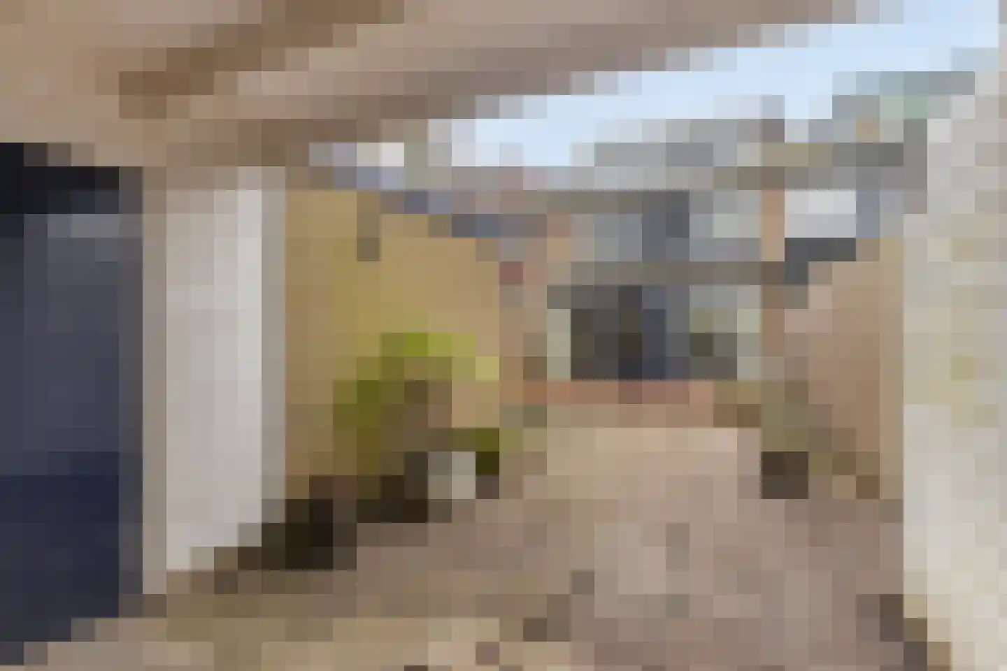Zalmsteek 34 Hoogvliet Rotterdam thumbnail 4