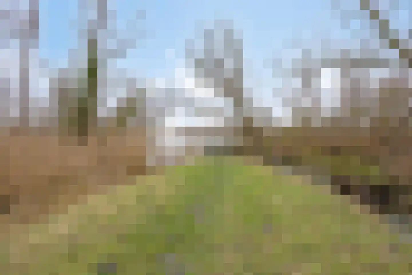 Zalmsteek 34 Hoogvliet Rotterdam thumbnail 40