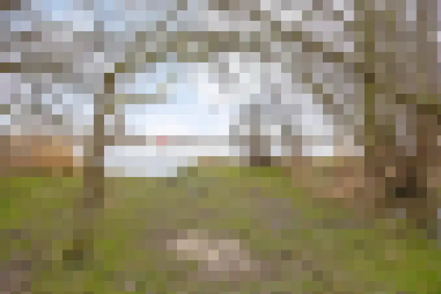Zalmsteek 34 Hoogvliet Rotterdam thumbnail 42