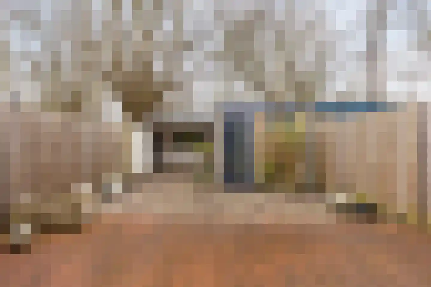 Zalmsteek 34 Hoogvliet Rotterdam thumbnail 5
