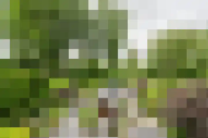 Zalmsteek 43 Hoogvliet Rotterdam thumbnail 32