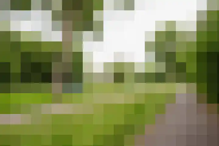 Zalmsteek 43 Hoogvliet Rotterdam thumbnail 36