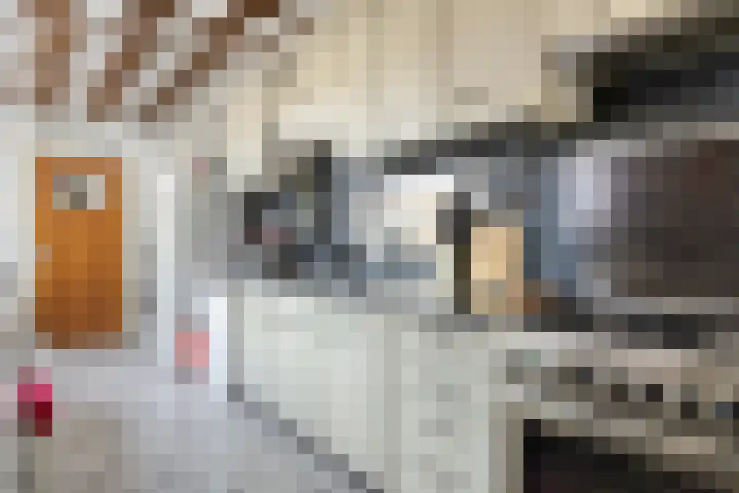 Zalmstraat 11 Tilburg thumbnail 10