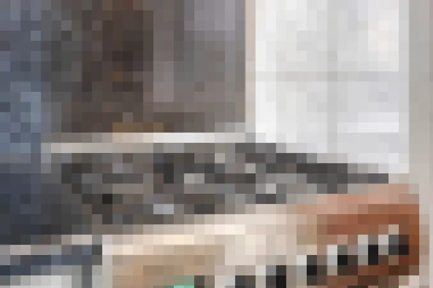 Zalmstraat 11 Tilburg thumbnail 11