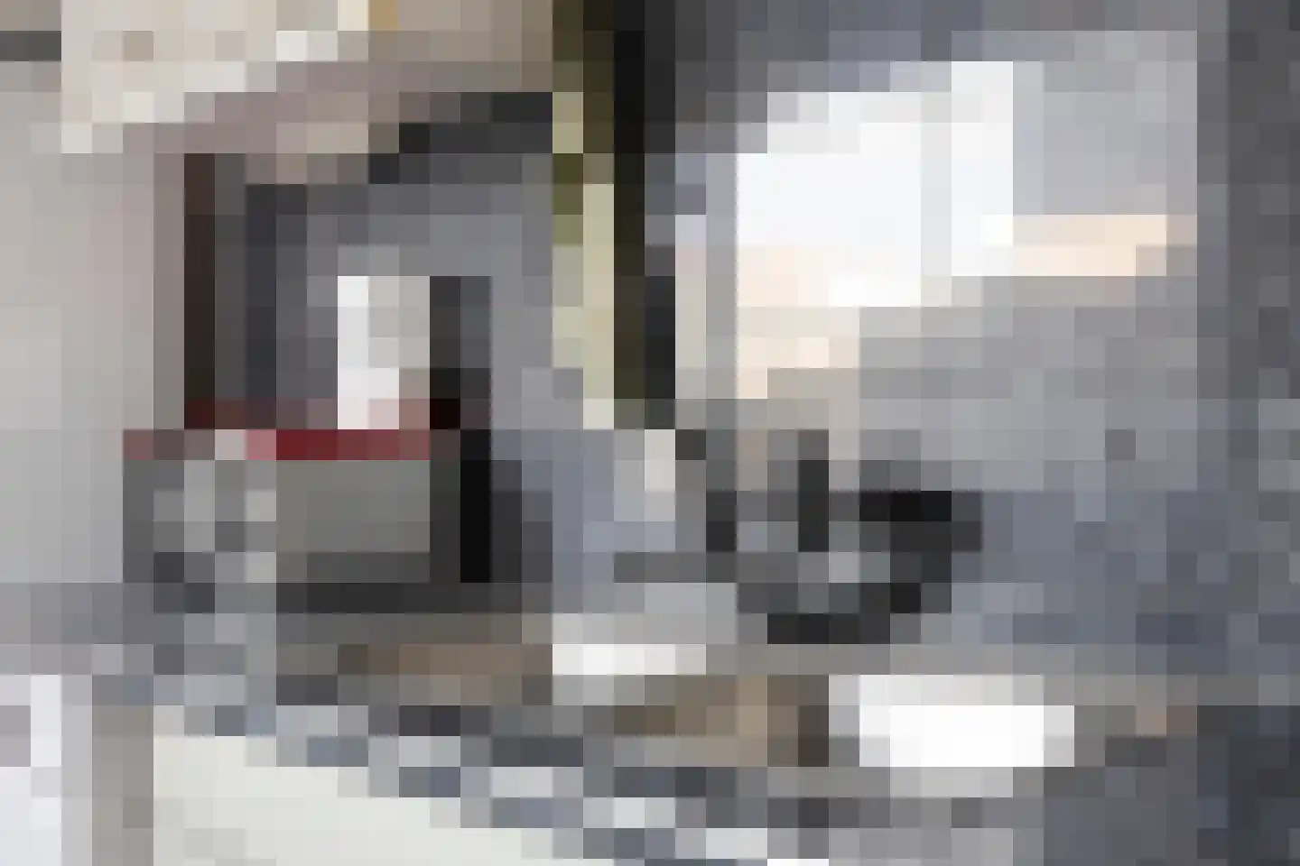 Zalmstraat 11 Tilburg thumbnail 12