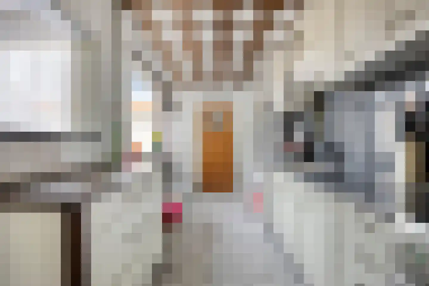 Zalmstraat 11 Tilburg thumbnail 9